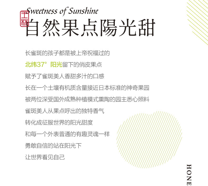 悅多(duō)山(shān)東(dōng)王林(lín)蘋果