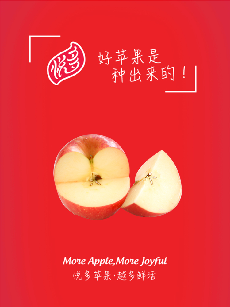 悅多(duō)風(fēng)霜蜜紅(hóng)富士蘋果