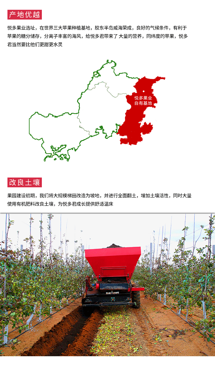 悅多(duō)風(fēng)霜蜜紅(hóng)富士蘋果