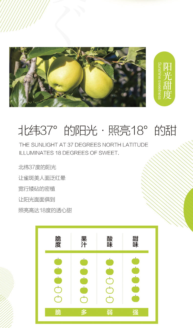 悅多(duō)山(shān)東(dōng)王林(lín)蘋果