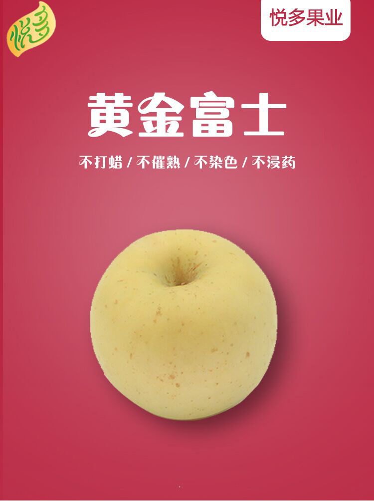 山(shān)東(dōng)黃(huáng)金(jīn)奶油富士